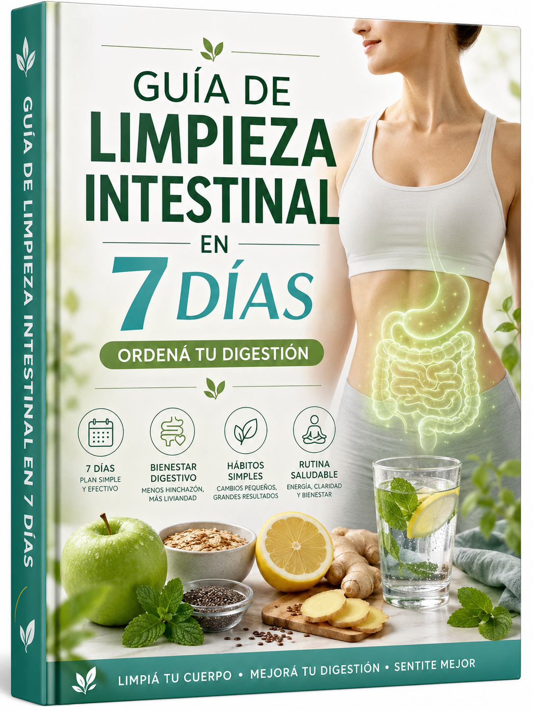 Combo Detox & Descanso: 3 Guías de Bienestar y Sueño Reparador